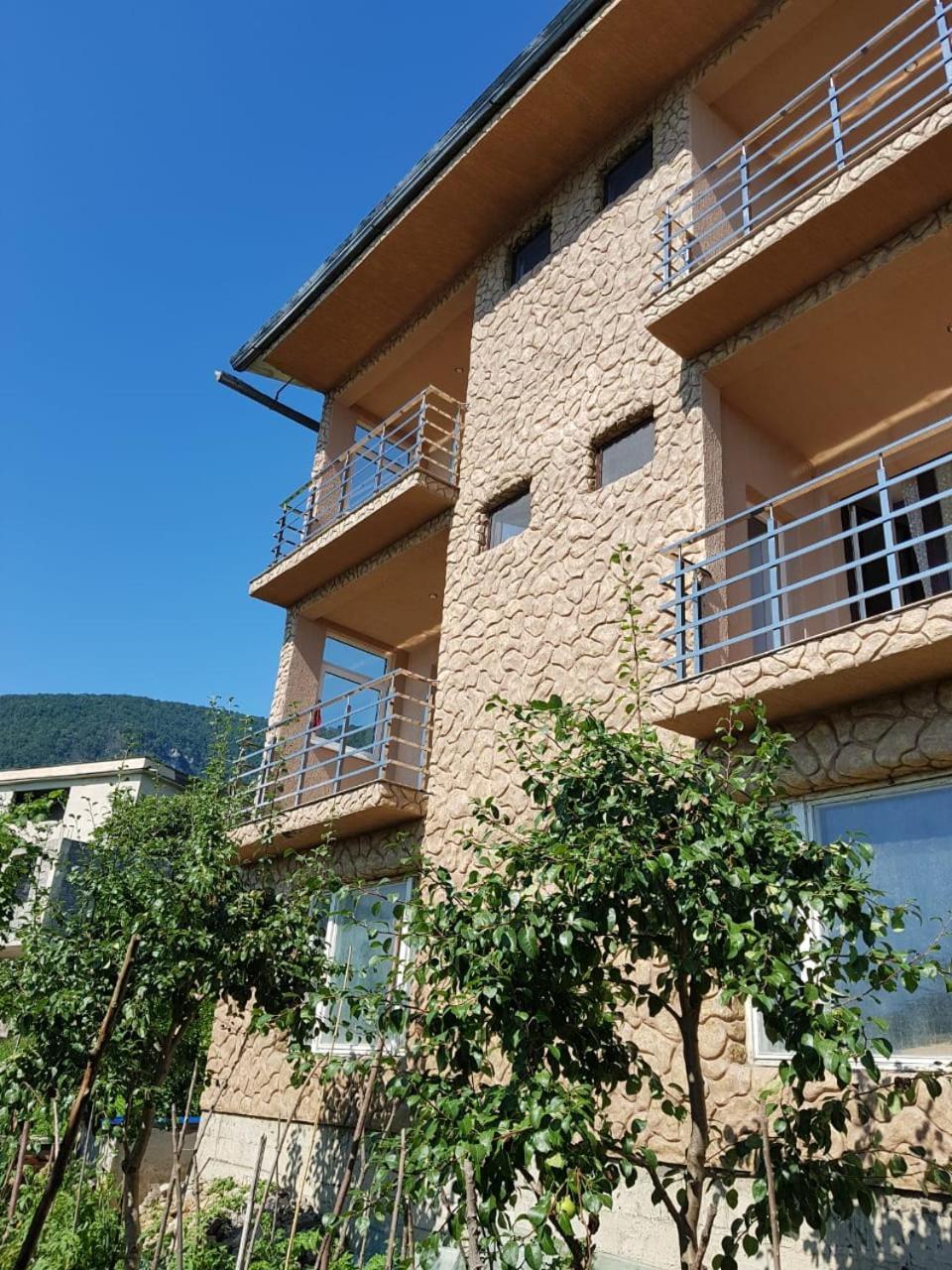 Guesthouse On Sovhoznaya 18 ガグラ エクステリア 写真